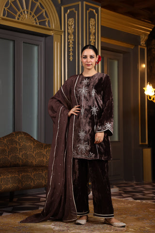 ASH TROPOCAL EMBROIDERED VELVET KURTA SET