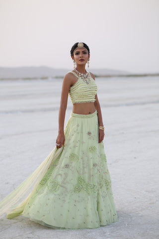 Lime Green Lehenga set